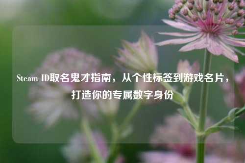 Steam ID取名鬼才指南,从个性标签到游戏名片,打造你的专属数字身份
