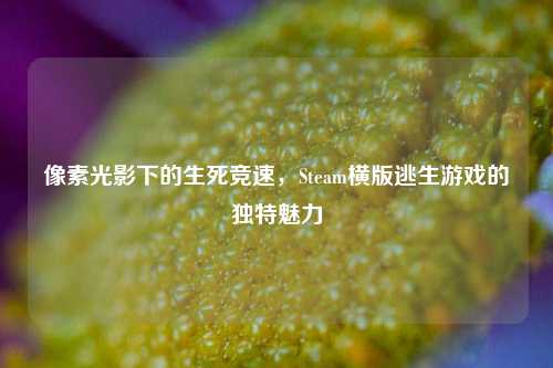 像素光影下的生死竞速,Steam横版逃生游戏的独特魅力