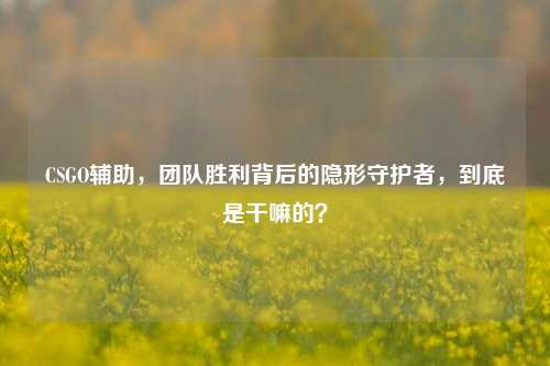 CSGO辅助,团队胜利背后的隐形守护者,到底是干嘛的?
