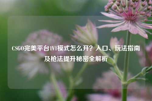 CSGO完美平台1V1模式怎么开?入口、玩法指南及枪法提升秘密全解析