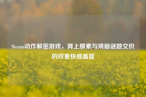 Steam动作解密游戏,肾上腺素与烧脑谜题交织的双重***盛宴