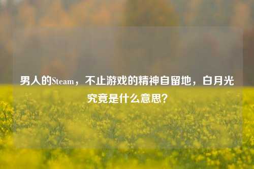 男人的Steam,不止游戏的精神自留地,白月光究竟是什么意思?