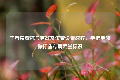 王者荣耀称号更改及位置设置教程,手把手教你打造专属荣誉标识