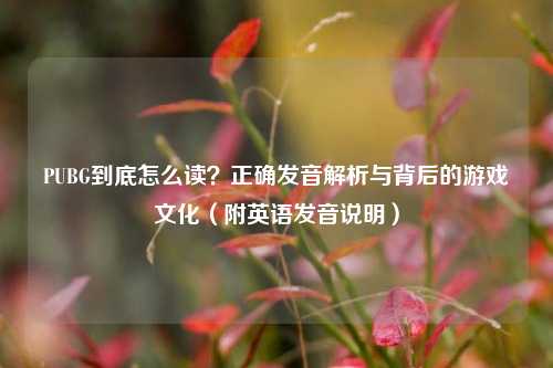PUBG到底怎么读?正确发音解析与背后的游戏文化(附英语发音说明)