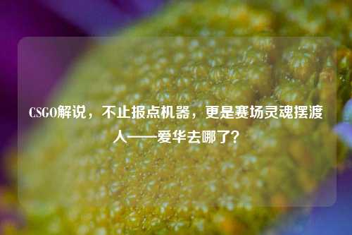 CSGO解说，不止报点机器，更是赛场灵魂摆渡人——爱华去哪了？