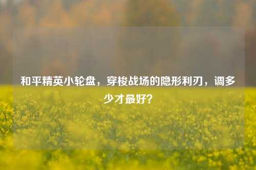 和平精英小轮盘,穿梭战场的隐形利刃,调多少才更好?