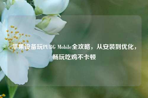 苹果设备玩PUBG Mobile全攻略,从安装到优化,畅玩吃鸡不卡顿