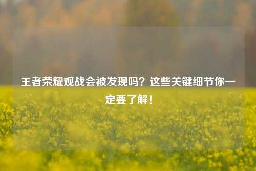 王者荣耀观战会被发现吗?这些关键细节你一定要了解!