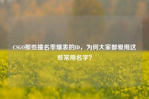 CSGO那些撞名率爆表的ID,为何大家都爱用这些常用名字?