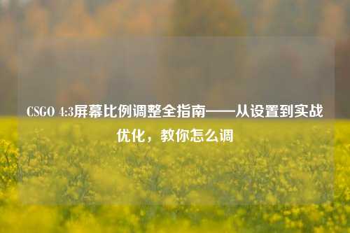 CSGO 4:3屏幕比例调整全指南——从设置到实战优化,教你怎么调