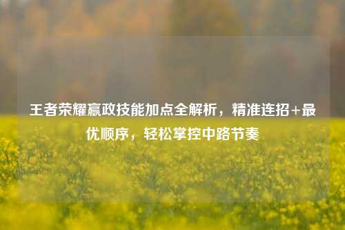 王者荣耀嬴政技能加点全解析,精准连招+更优顺序,轻松掌控中路节奏