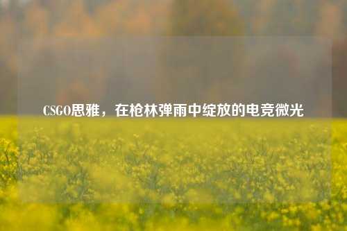 CSGO思雅,在枪林弹雨中绽放的电竞微光