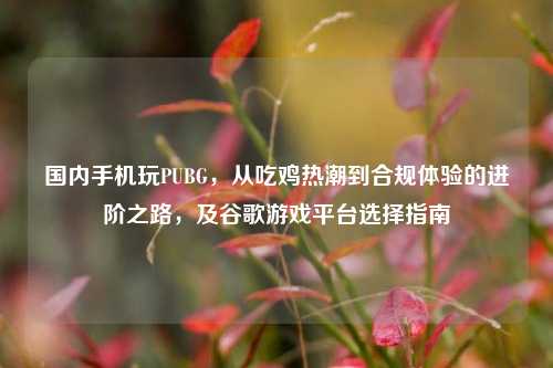 国内手机玩PUBG,从吃鸡热潮到合规体验的进阶之路,及谷歌游戏平台选择指南