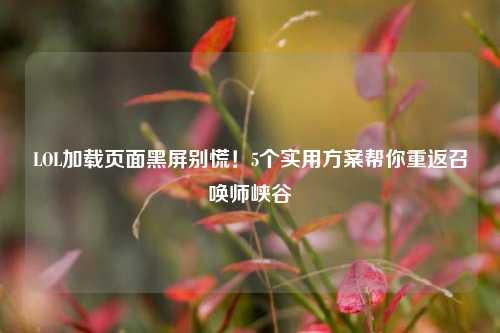 LOL加载页面黑屏别慌!5个实用方案帮你重返召唤师峡谷