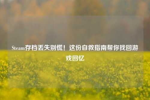 Steam存档丢失别慌!这份自救指南帮你找回游戏回忆