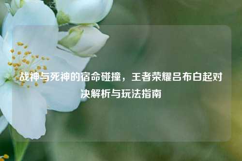 战神与死神的宿命碰撞,王者荣耀吕布白起对决解析与玩法指南