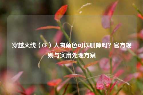 穿越火线(CF)人物角色可以删除吗?官方规则与实用处理方案
