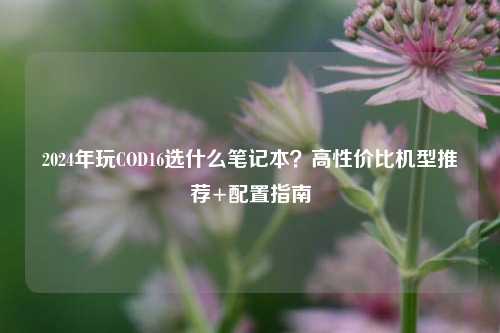 2024年玩COD16选什么笔记本?高性价比机型推荐+配置指南