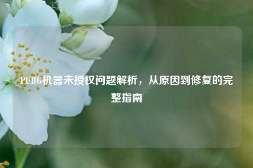 PUBG机器未授权问题解析,从原因到修复的完整指南
