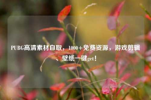 PUBG高清素材自取,1000+免费资源,游戏剪辑、壁纸一键get!