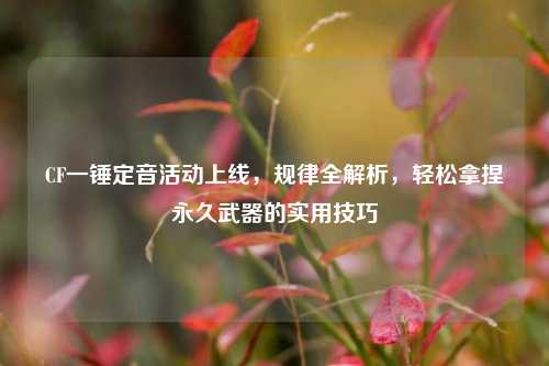 CF一锤定音活动上线,规律全解析,轻松拿捏永久武器的实用技巧