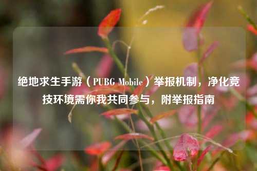 绝地求生手游(PUBG Mobile)举报机制,净化竞技环境需你我共同参与,附举报指南