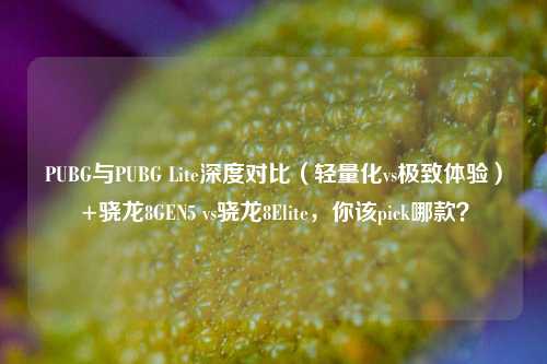 PUBG与PUBG Lite深度对比(轻量化vs极致体验)+骁龙8GEN5 vs骁龙8Elite,你该pick哪款?