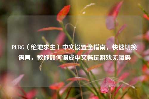 PUBG（绝地求生）中文设置全指南，快速切换语言，教你如何调成中文畅玩游戏无障碍
