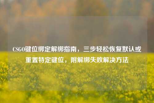 CSGO键位绑定解绑指南，三步轻松恢复默认或重置特定键位，附解绑失败解决方法