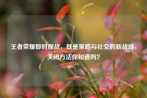 王者荣耀即时观战,既是策略与社交的新战场,关闭 *** 你知道吗?