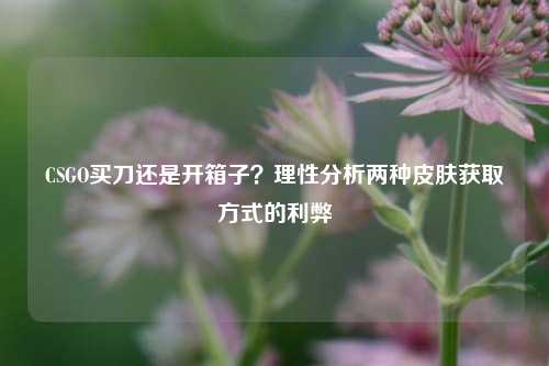 CSGO买刀还是开箱子?理性分析两种皮肤获取方式的利弊