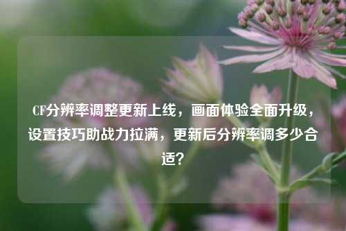 CF分辨率调整更新上线,画面体验全面升级,设置技巧助战力拉满,更新后分辨率调多少合适?