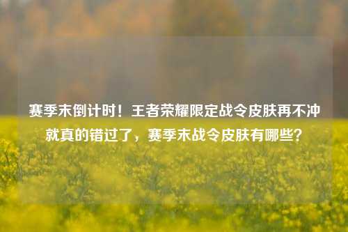 赛季末倒计时!王者荣耀限定战令皮肤再不冲就真的错过了,赛季末战令皮肤有哪些?